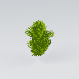 QM_Bush_Long_1