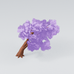 QM_CherryBlossom_2