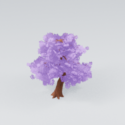 QM_CherryBlossom_5