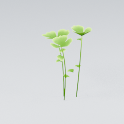 QM_Clover_1