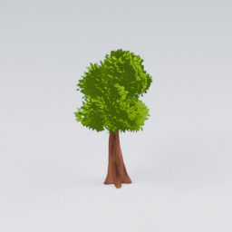 QM_CommonTree_1