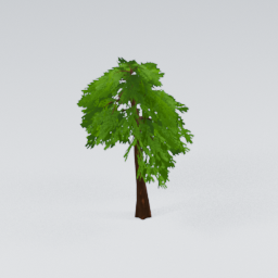 QM_GiantPine_2