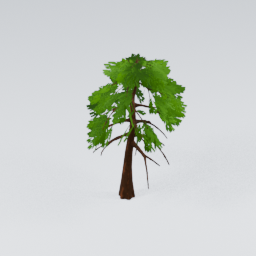 QM_GiantPine_4
