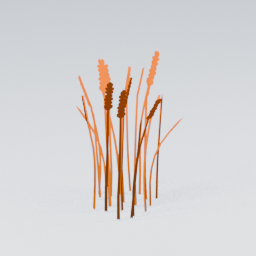 QM_Grass_Wheat