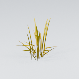 QM_Grass_Wispy_Tall