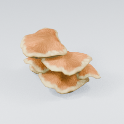 QM_Mushroom_Laetiporus