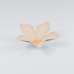 QM_Petal_2