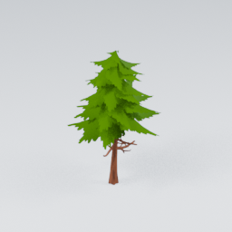 QM_Pine_1