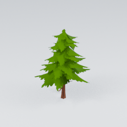 QM_Pine_2