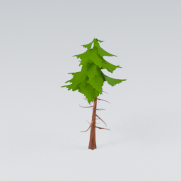QM_Pine_3