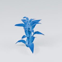 QM_Plant_2