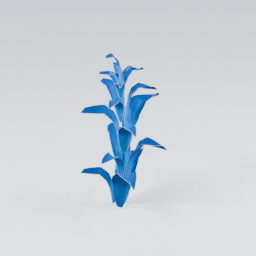 QM_Plant_2_Big