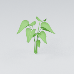 QM_Plant_5