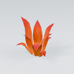 QM_Plant_6
