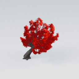 QM_TwistedTree_1