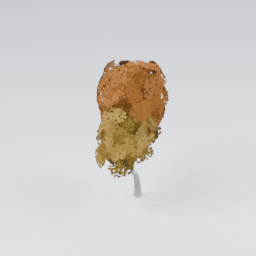 QU_BirchTree_Autumn_2