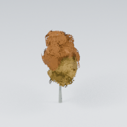 QU_BirchTree_Autumn_3