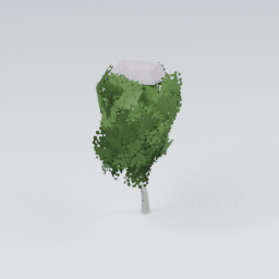 QU_BirchTree_Snow_2