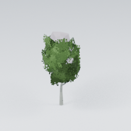 QU_BirchTree_Snow_3