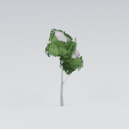 QU_BirchTree_Snow_5