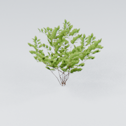 QU_Bush_1