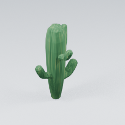 QU_Cactus_2