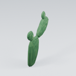 QU_Cactus_5