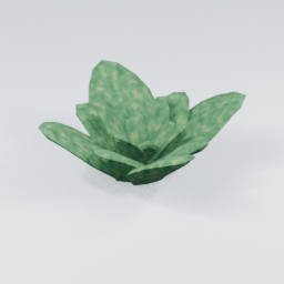 QU_CactusFlower_1