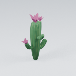 QU_CactusFlowers_2