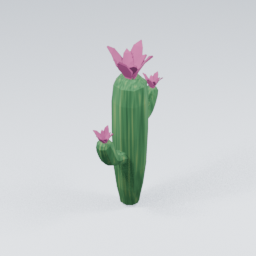 QU_CactusFlowers_3