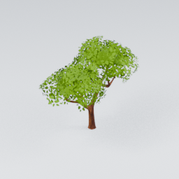 QU_CommonTree_1