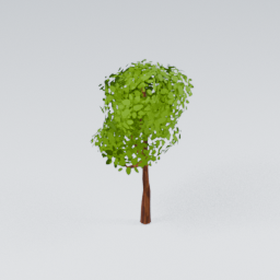 QU_CommonTree_3