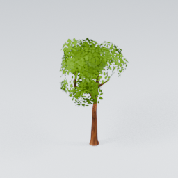 QU_CommonTree_4