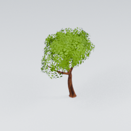 QU_CommonTree_5