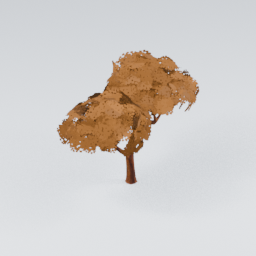 QU_CommonTree_Autumn_1
