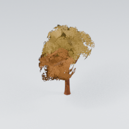 QU_CommonTree_Autumn_2