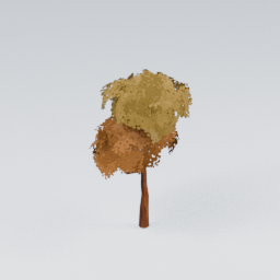 QU_CommonTree_Autumn_3
