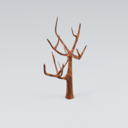 QU_CommonTree_Dead_2