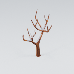 QU_CommonTree_Dead_Snow_1