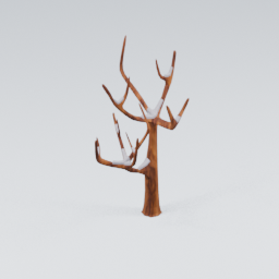QU_CommonTree_Dead_Snow_2