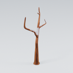 QU_CommonTree_Dead_Snow_4