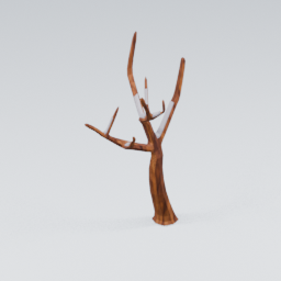 QU_CommonTree_Dead_Snow_5
