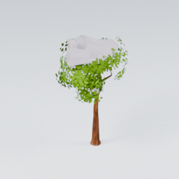 QU_CommonTree_Snow_4