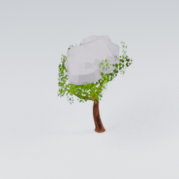 QU_CommonTree_Snow_5