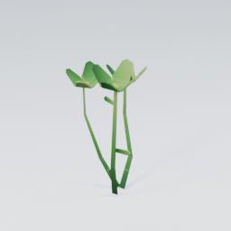 QU_Flowers