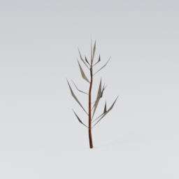 QU_Plant_2