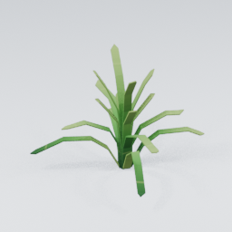 QU_Plant_3