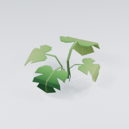 QU_Plant_4