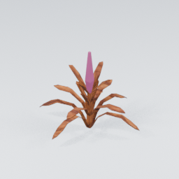 QU_Plant_5