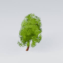 QU_Willow_1